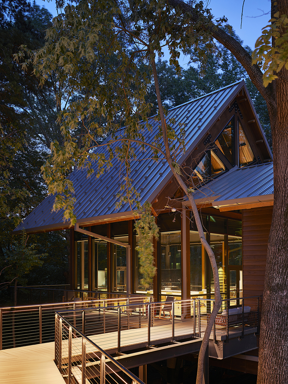 10 Treehouse Day Photographer - Tom Holdsworth - Credit Line - @2019- Tom Holdsworth.jpg